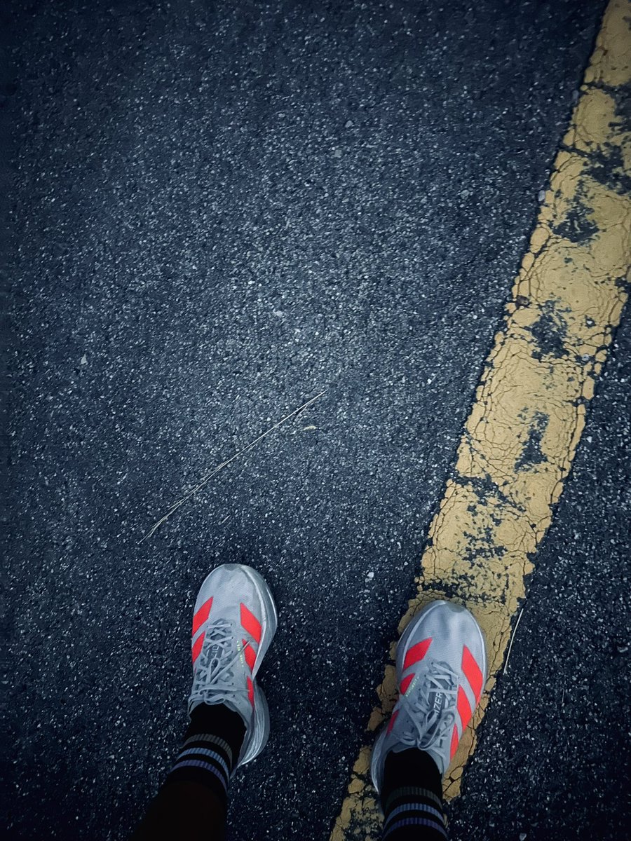 snqnɔuı̣ tweet media