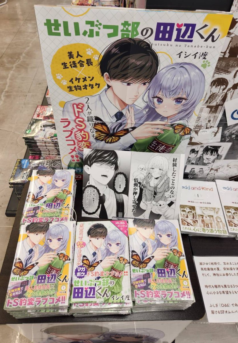 発売日に、新宿の紀伊国屋書店さまでも
目立つ場所に飾っていただいておりました😍

お近くにお越しの際はお立ち寄りください🏃‍♂️ 