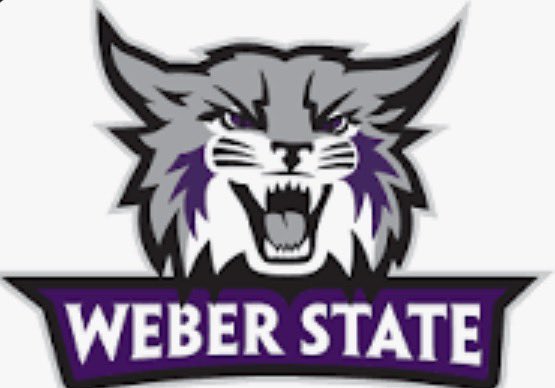 Peyton yandall tweet media