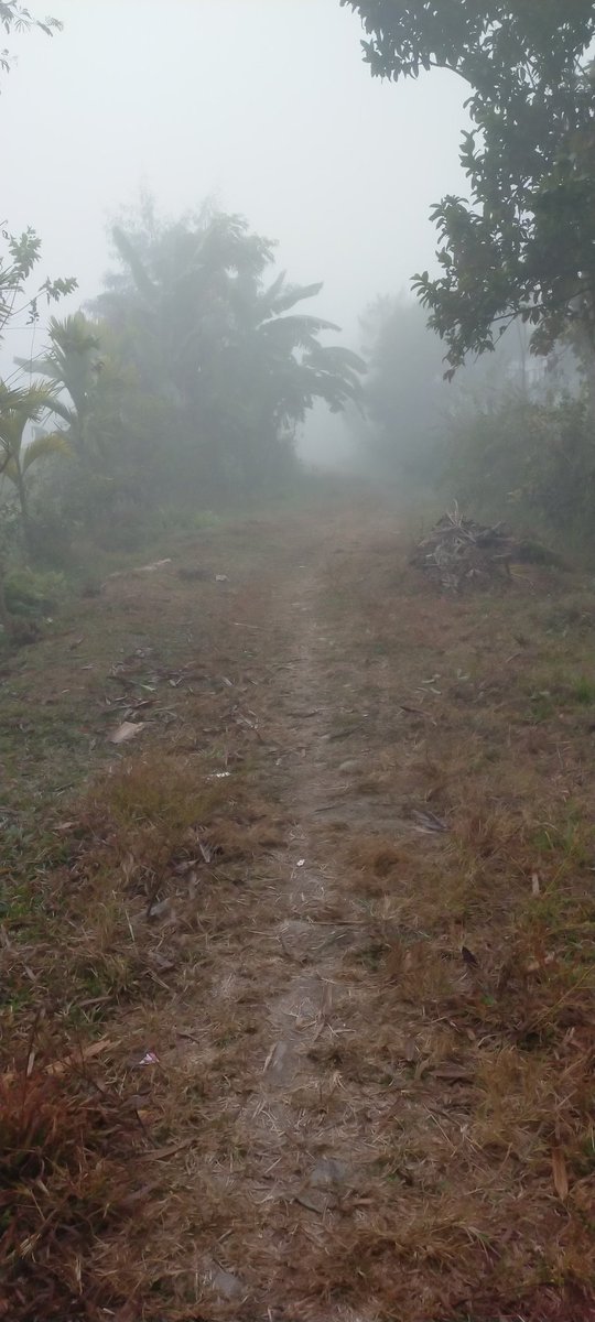 आजको हुस्से; पुस २६ गते २०८२