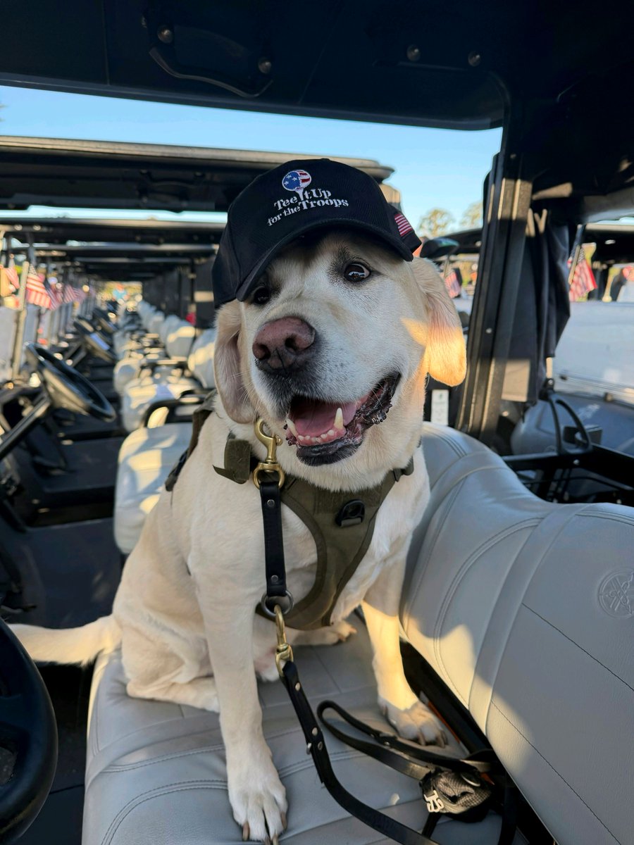 Tee It Up for the Troops tweet media