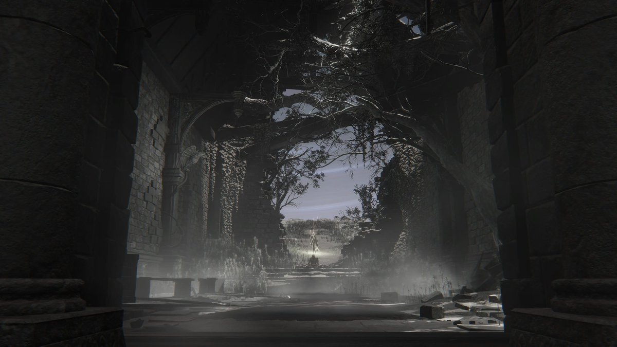 S_Kronus's tweet photo. ELDEN RING NIGHTREIN - Nightrein - (PLATINUM) #56 #EldenRingNightrein #Nightreign #PlayStationTrophy #PS5Share #Platinum #Platinos https://t.co/FRXKmWxWGg