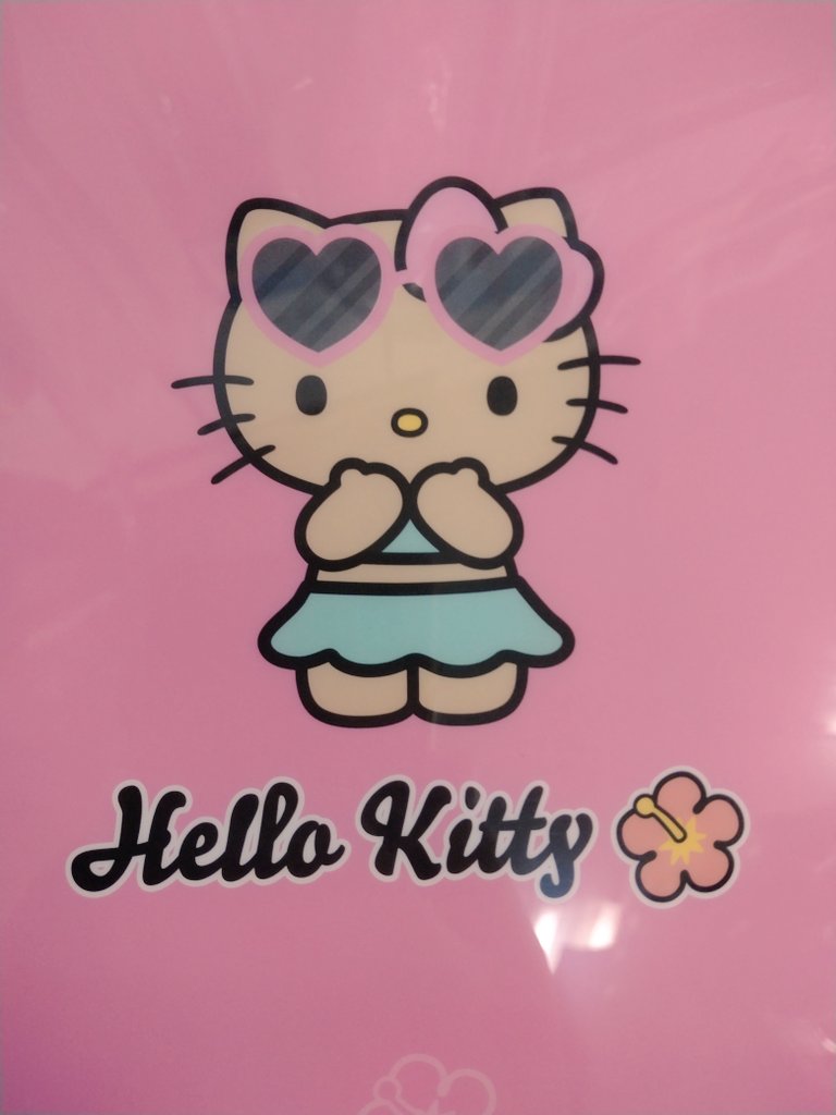 ENDLESS SUMMER 🏖 日焼けキティ ファスナー付き 6ポケット クリア