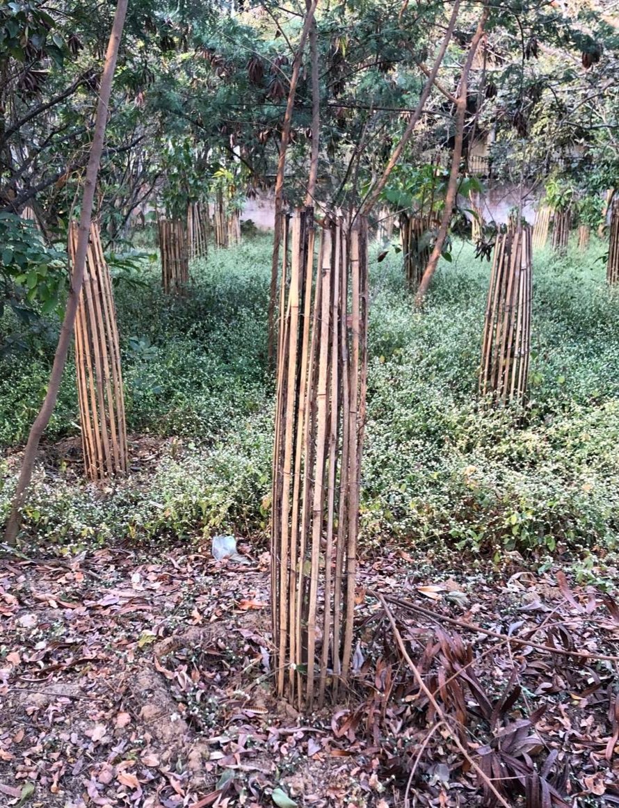 Doddakallasandra Lake Protection Committee tweet media