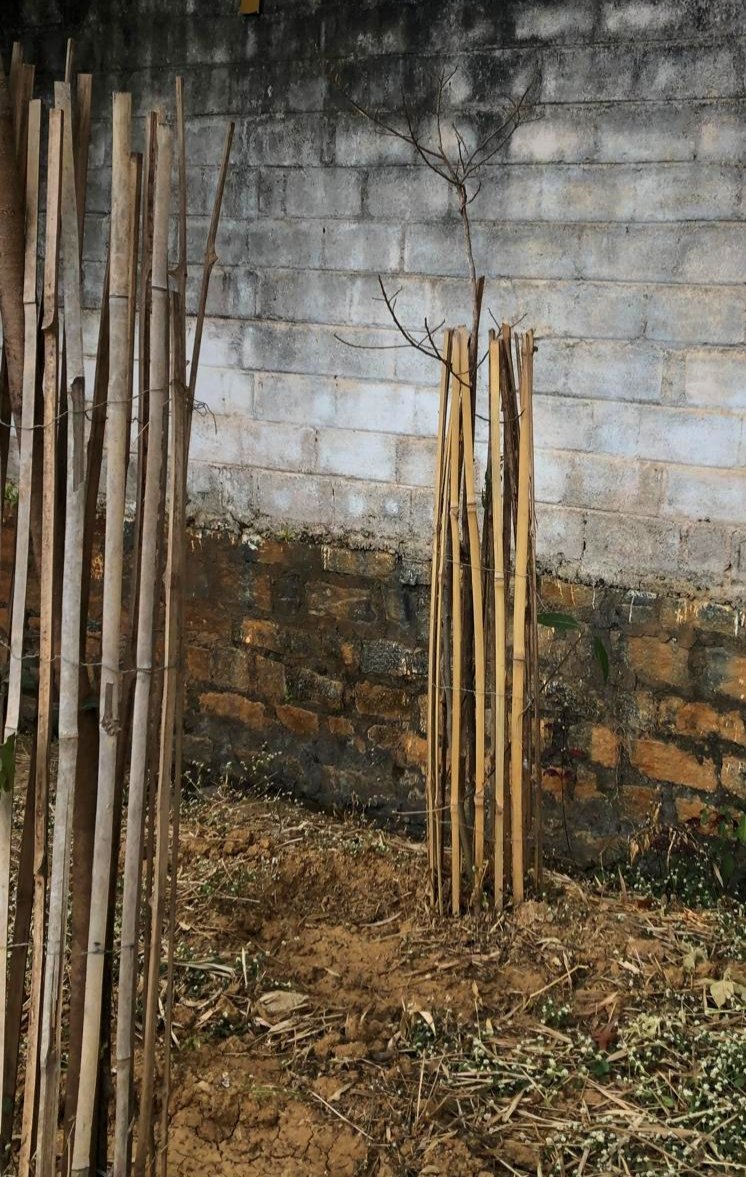 Doddakallasandra Lake Protection Committee tweet media