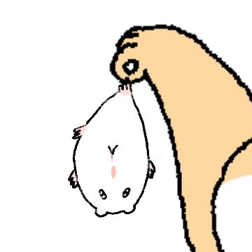 1sad_hamster1's tweet photo. 햄스터 흘리신분
https://t.co/nHy3THnEyJ https://t.co/lmg7O6tLG0