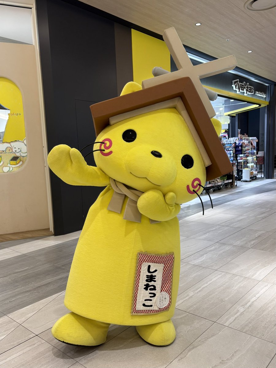 y_hiro3505's tweet photo. 中日ビルにしまねっこいた https://t.co/l6YwRaegdq