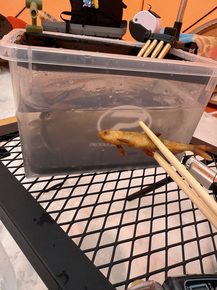 トマティングトマト (@Yx_Tomato_xY) / Posts / X