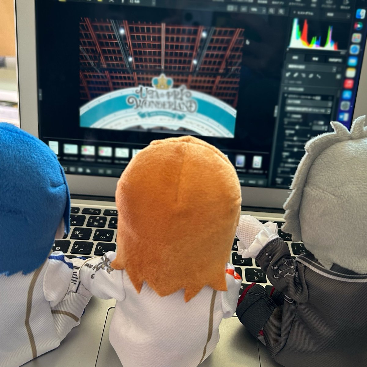 ☆本日の作業、開始──‼️