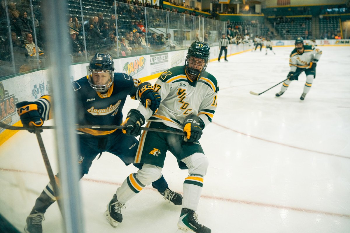 GoAugie's tweet photo. Kotai Posts Shutout as @AugieMHockey Blanks Northern Michigan, 3-0, Friday Night

🗞️ » https://t.co/fZBTYNUMBQ

#WeHoldThePen⚔️ #BuildingChampions https://t.co/SrUBn2ByPO
