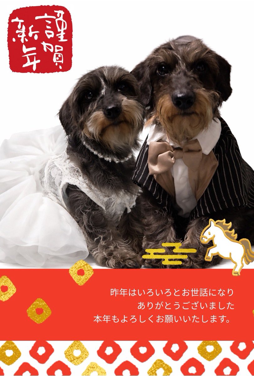 masako_0831's tweet photo. ずいぶん投稿してませんでした😁今年も❤️皆様が幸せであります様に🫶 https://t.co/e1CmHR5kl3