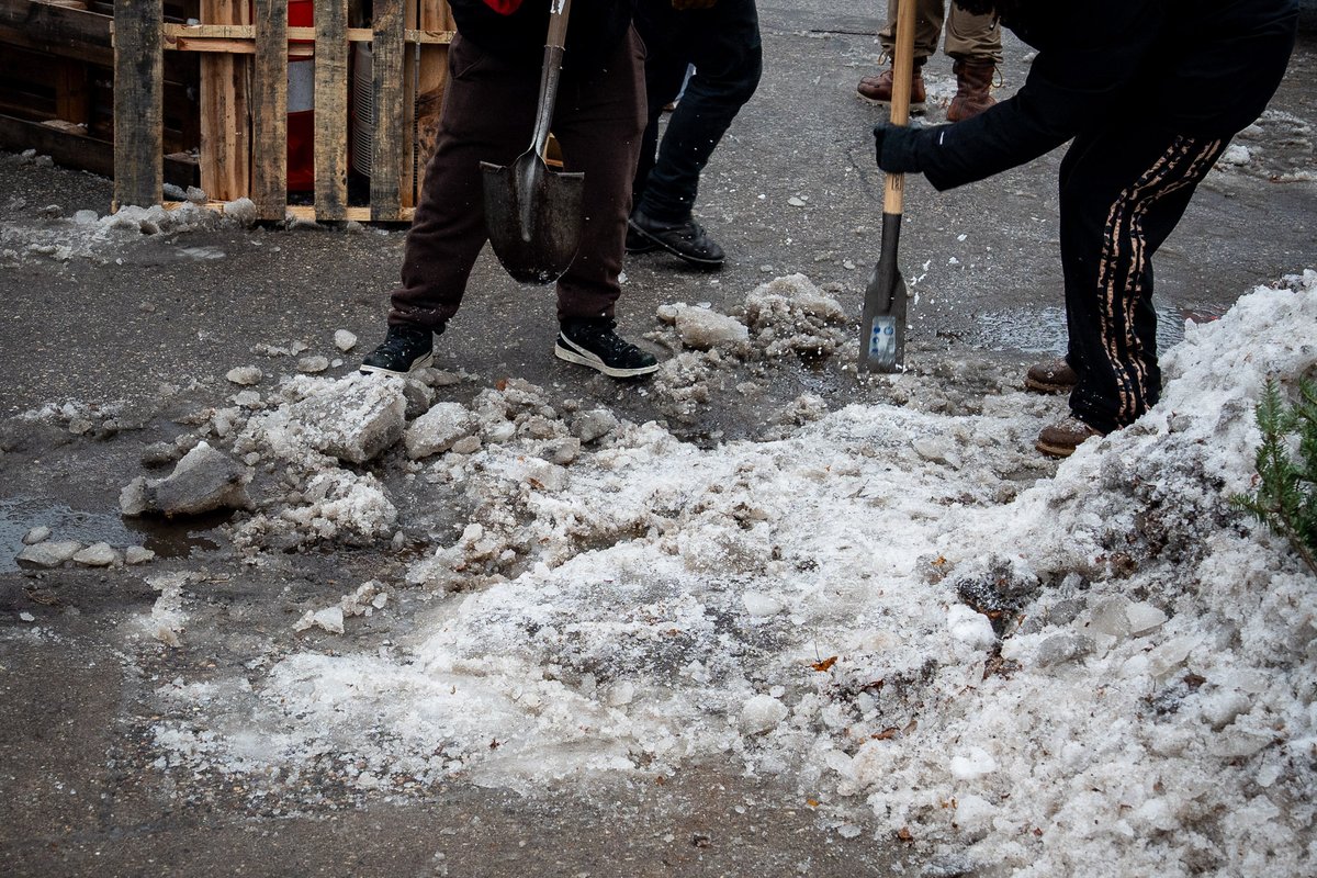 daviss 📸 tweet media