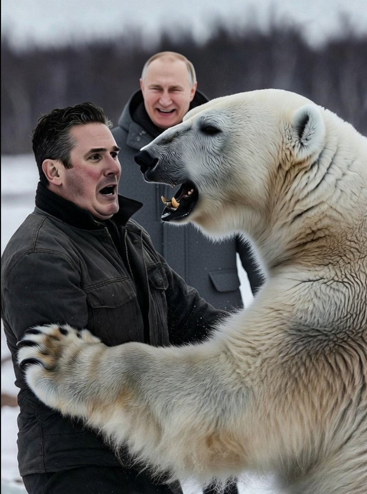 TheShadowslap's tweet image. 