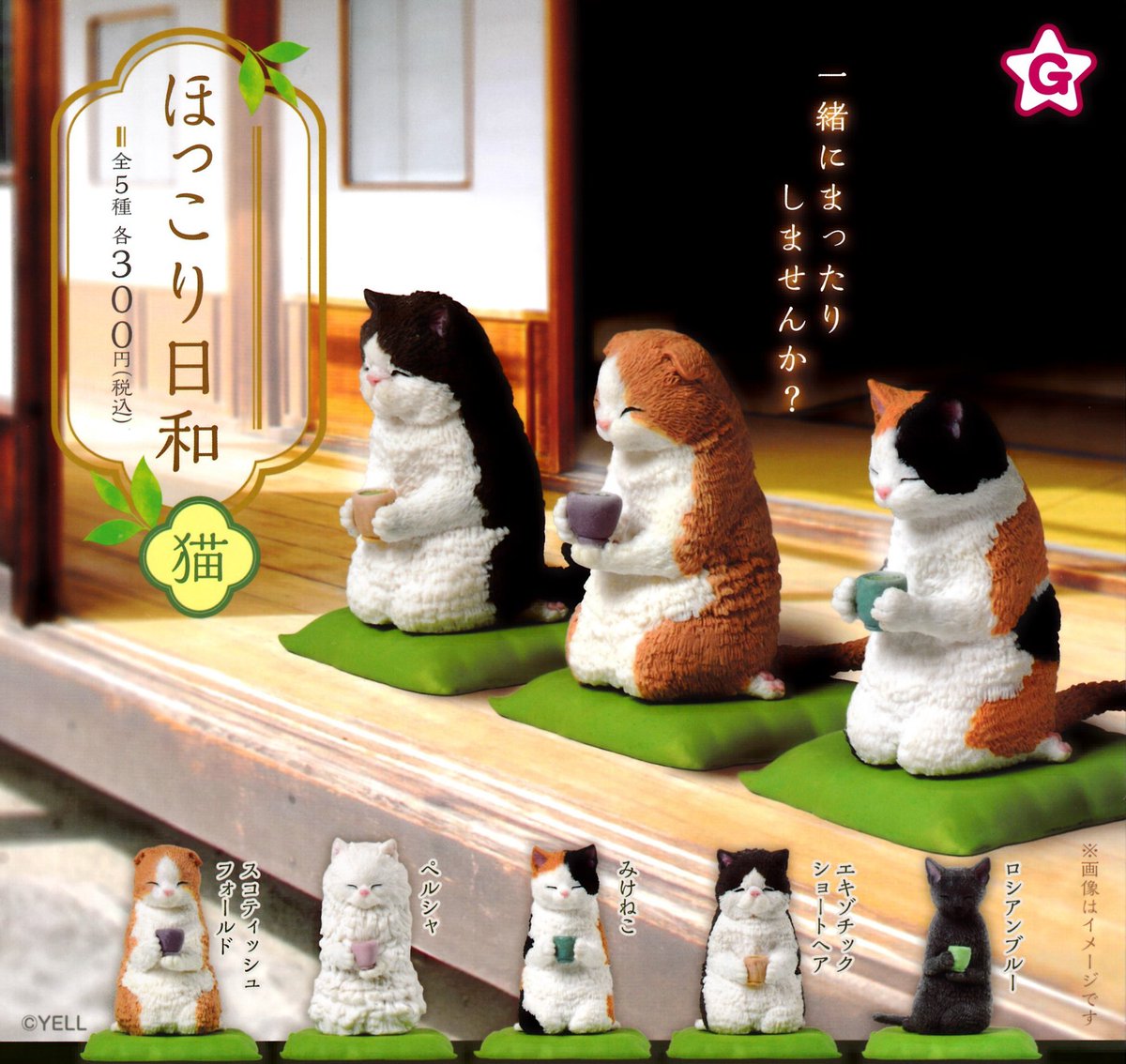 ⭐️🆕1/10(土)本日の入荷情報🫛⭐️ 📗あの頃作った バレンタイン