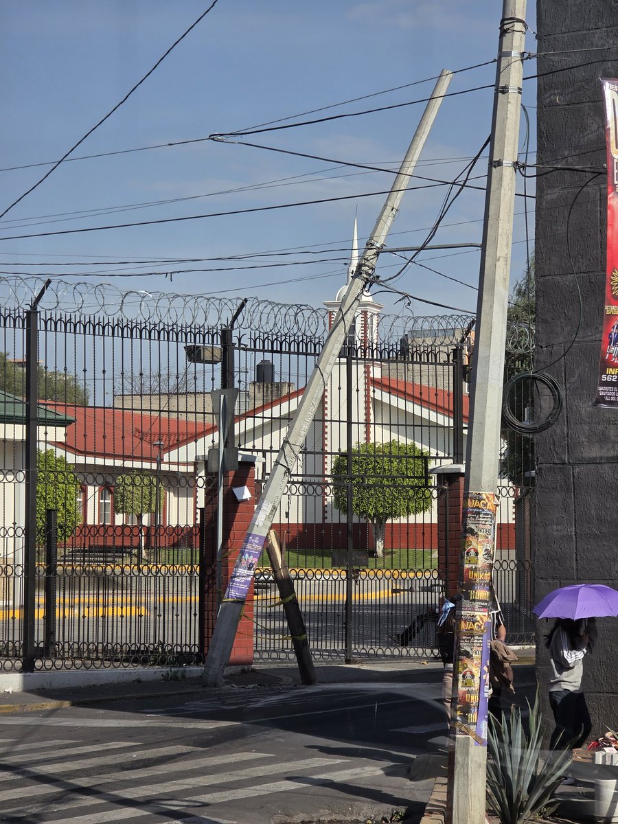 Lion Kushner tweet media