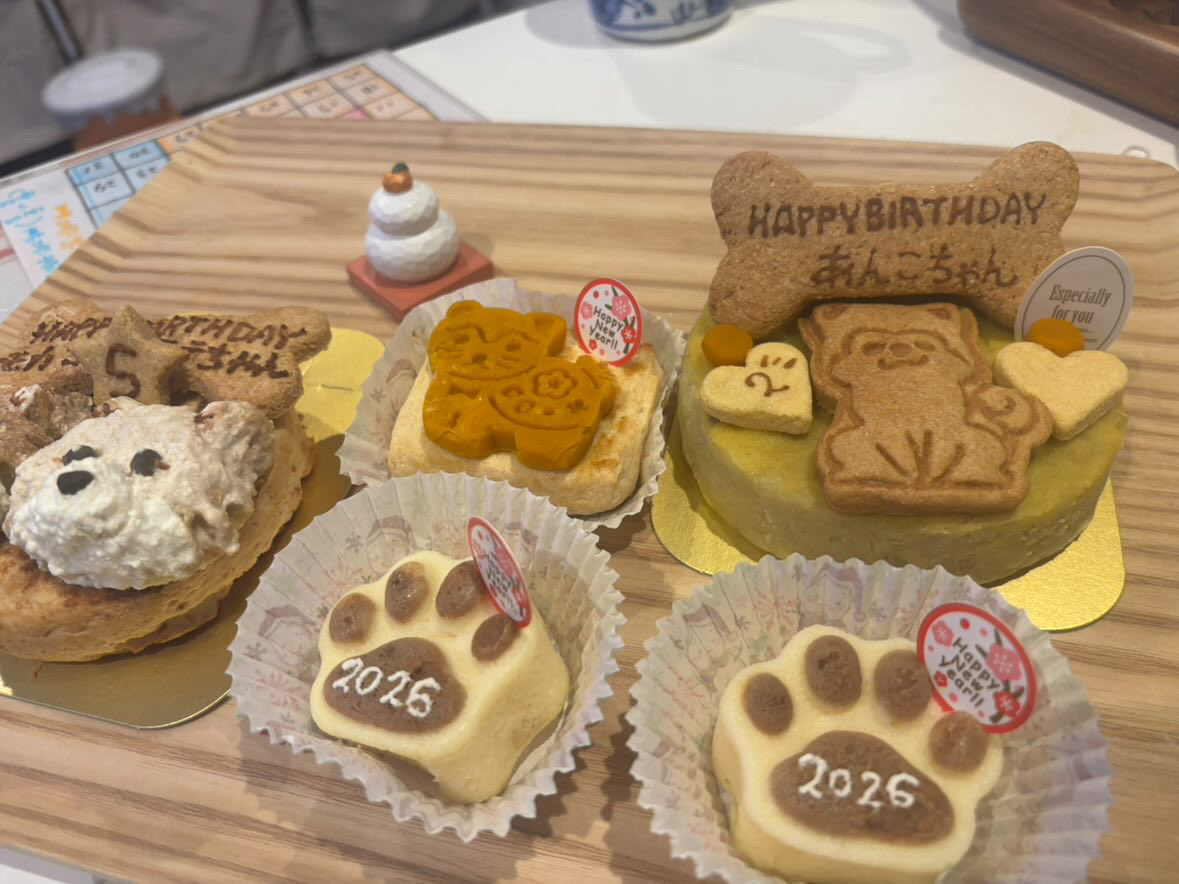 年末最後に作らせて頂いたケーキ達☺️自分のわんこにあげるつもりで丁寧に作らせて頂いてます😆
今年も始まりました、一つ一つ心を込めて作らせていただきます！
本年もよろしくお願い致します❤️
#はらぺこ