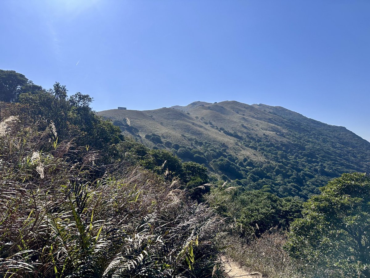 diveshg's tweet photo. 🏔️ Sunset peak - 3rd highest in Hong Kong. 869 m 😎 https://t.co/UPyj6WhDSt