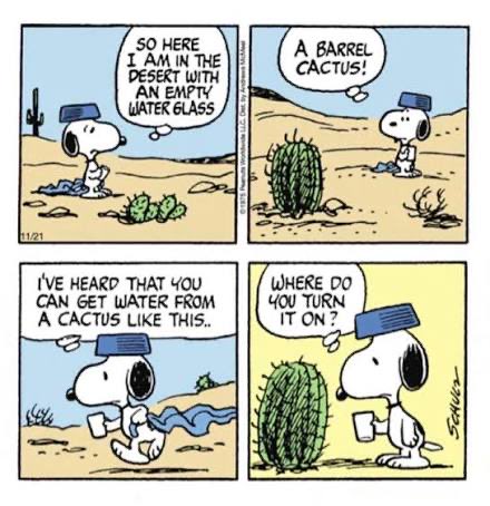 mantisoc tweet media