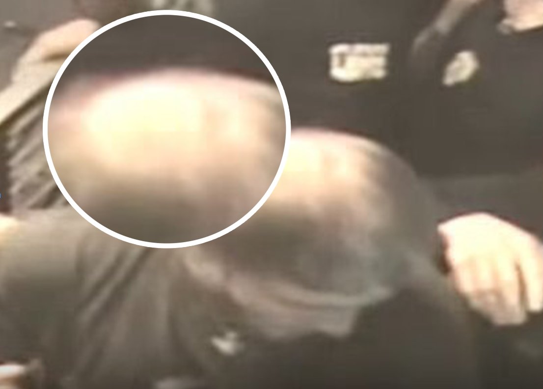 DerKudos tweet media