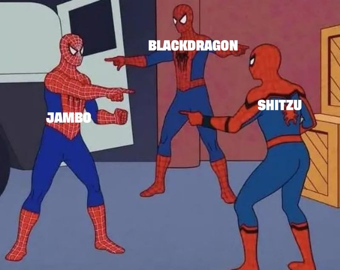 AlMuphasa's tweet photo. The growth on @NEARProtocol is massive. Expect some massive pump in these memecoins $BLACKDRAGON, $SHITZU, and $JAMBO https://t.co/glRb7ICRe8