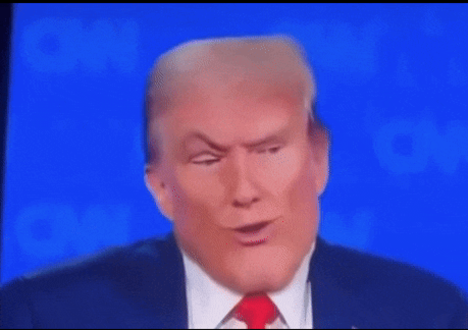 adolfmaxxing's tweet image. "What if the left gets back in power? What if we get in really big trouble?"

"What if we just win bigly forever? What if I legalize killing liberals?"