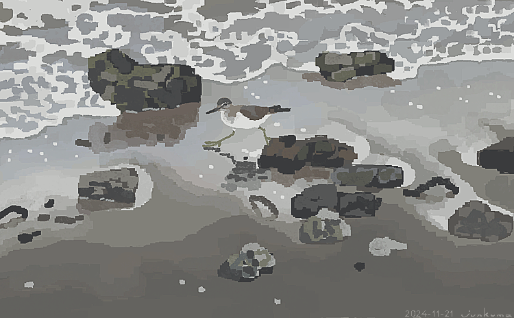 J_KMOR's tweet image. モズ（withはやにえ）、イソシギ、コサギ、スズメ