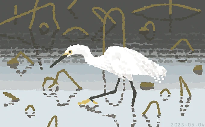 モズ(withはやにえ)、イソシギ、コサギ、スズメ