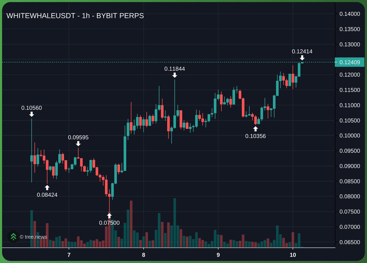 Burgerflipper tweet media