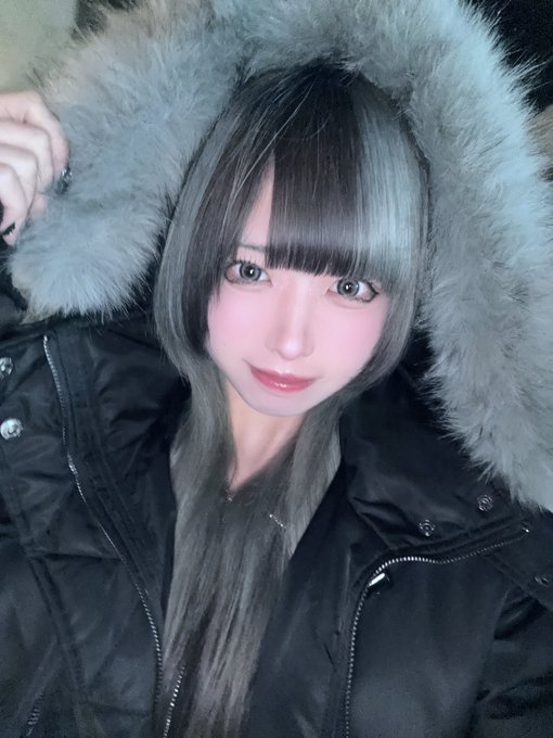 最新情報タイムライン - にゃんたー✖️にゃんたー（秋葉原・神田