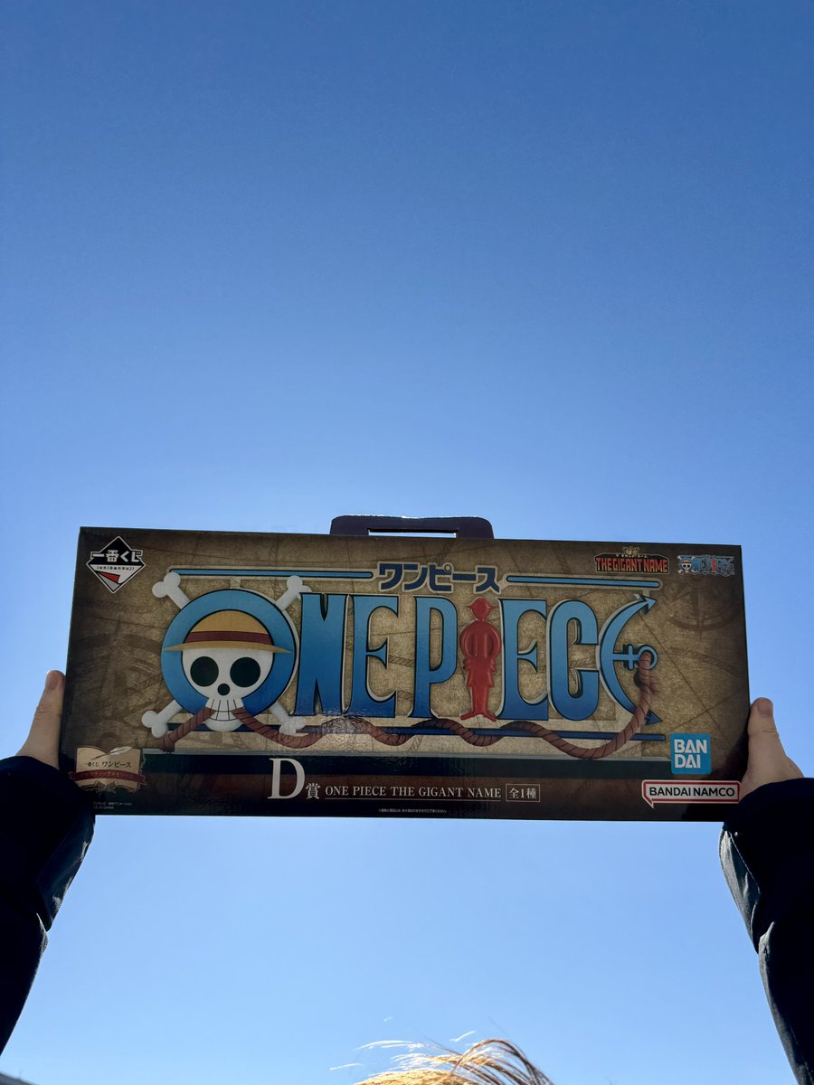 一番くじ ワンピース ドラマティックメモリーズ ワンピース 一番くじ D