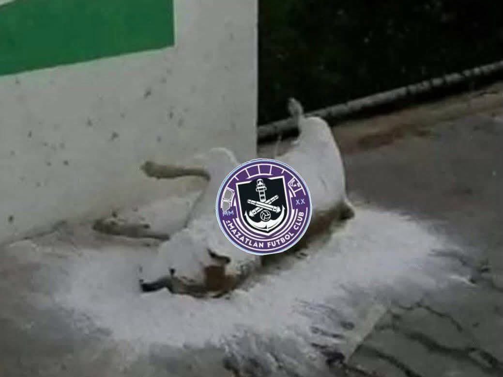 MartinoliCuri's tweet image. El putísimo Mazatlán en su gira del adiós: