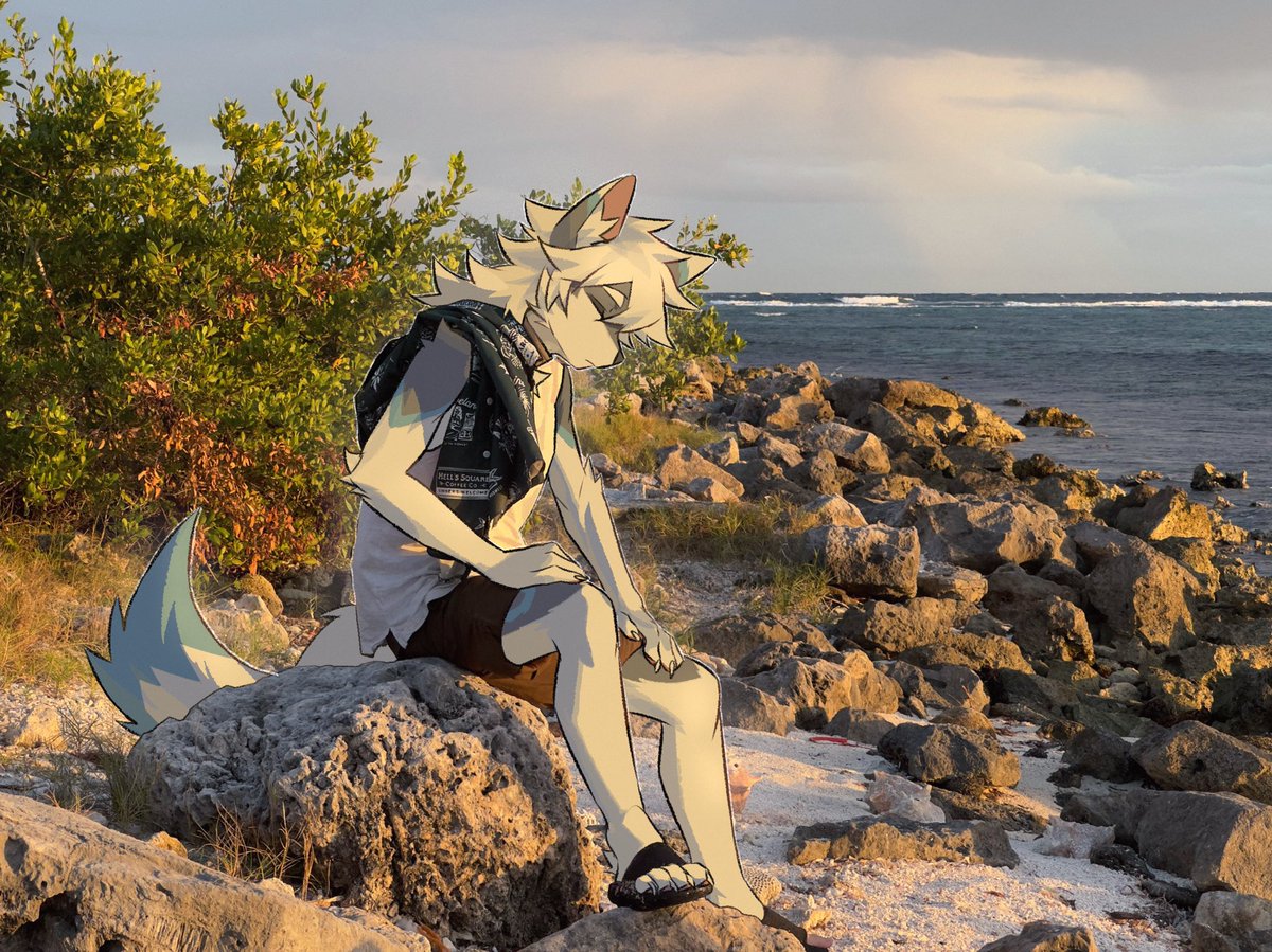 里奥Leol tweet media