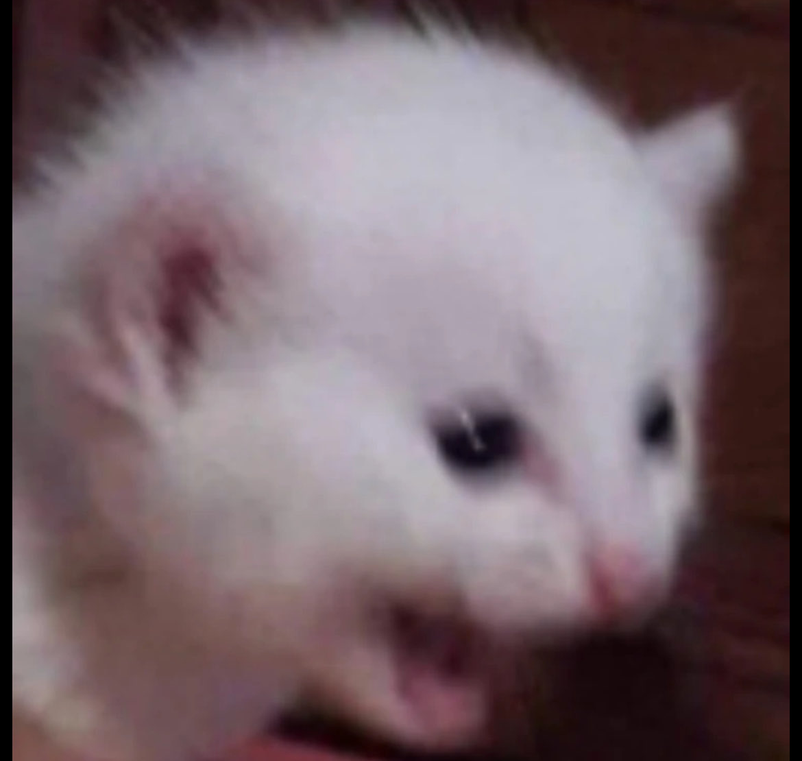 Joshua Gutierrez tweet media