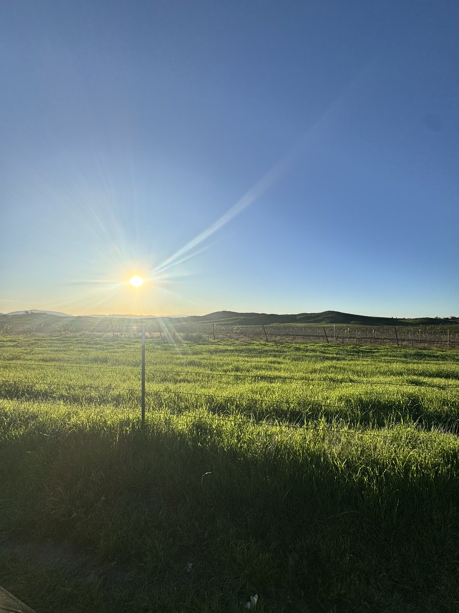 criseldaa19's tweet photo. It’s always sunny ☀️:)🧿 https://t.co/6Gx5ahpzaL