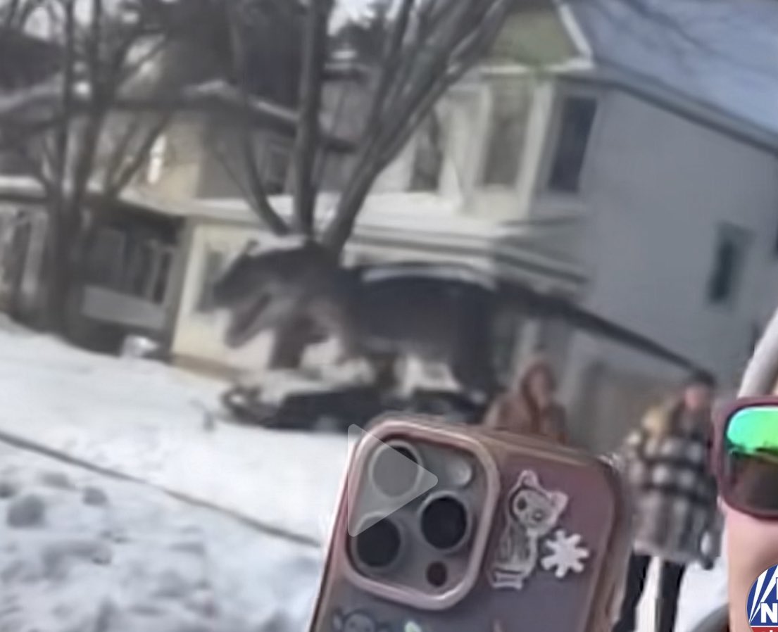 COLTON CARLYLE tweet media