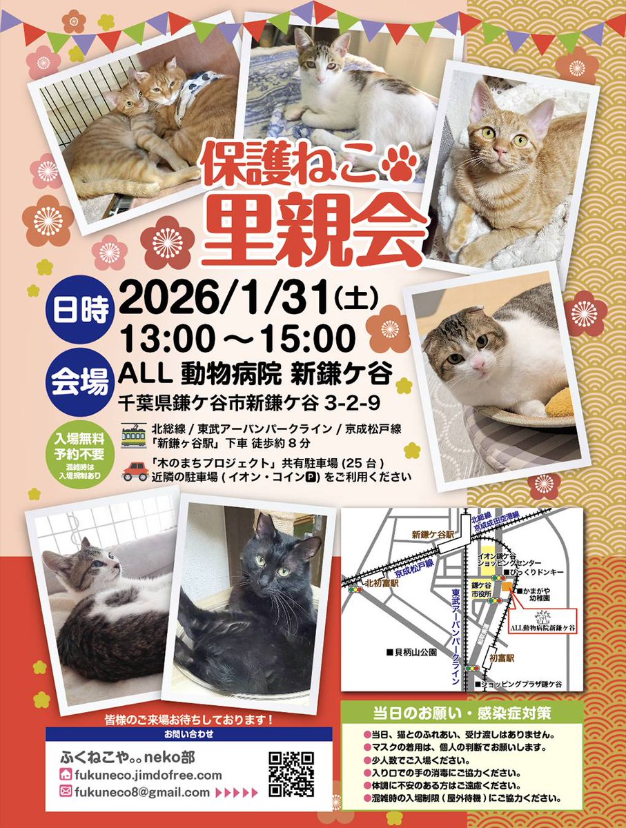 fukuneco8's tweet photo. 保護ねこ里親会
日時　2026年1月31日(土)
13：00～15：00
会場　ALL動物病院 新鎌ヶ谷
住所　千葉県鎌ケ谷市新鎌ヶ谷3-2-9

😸参加猫さんも受付中！
お問い合わせはこちら
https://t.co/0xJUOmufRu https://t.co/vxbSqOpRDL