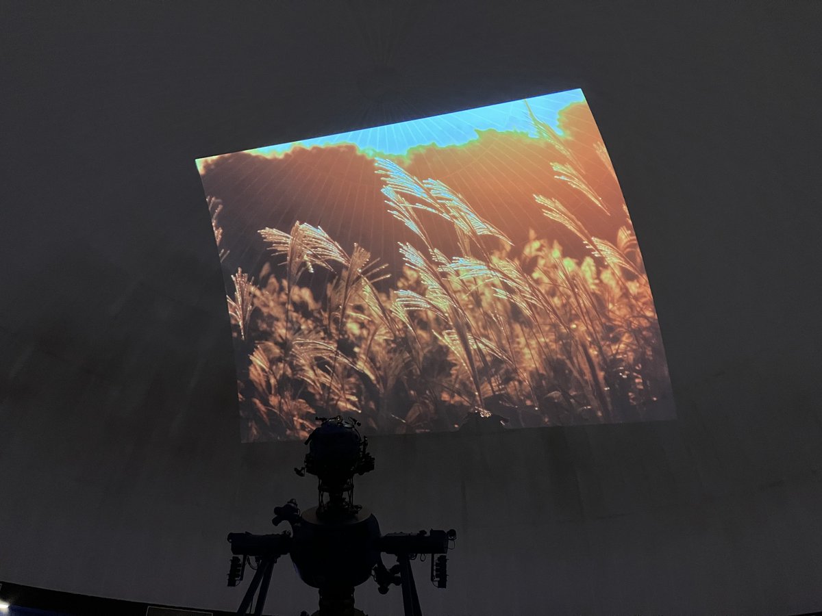 新年もよろしくお願いいたします🎍
2025年度も残り3か月を切りましたが、まだまだイベントを実施していますので、お見逃しなく！

3/15プラネタリウム朗読劇の予約申し込みが、
本日9時より開始しています。詳細はこちら↓
kimikame.net/event/?mode=ca…

是非お越しください♪