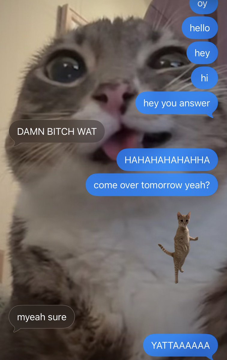 frissonnn's tweet image. nice 🧘