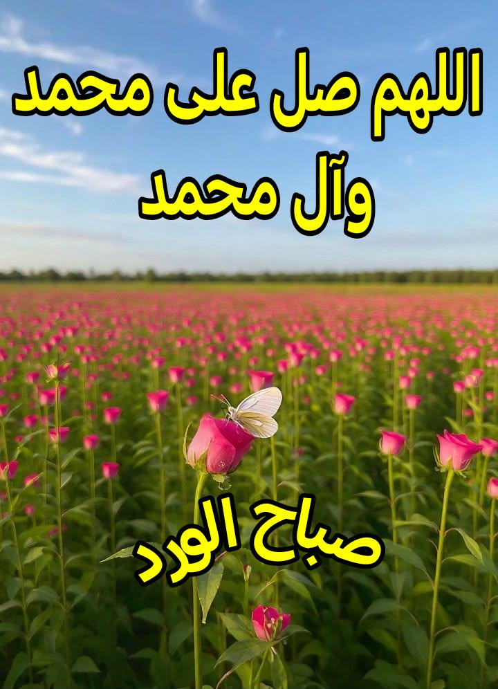 حمزة الحيدري tweet media