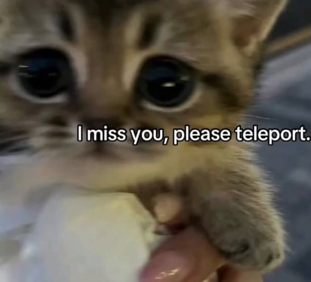 Catsillyness's tweet photo. https://t.co/vEQgiEXzok