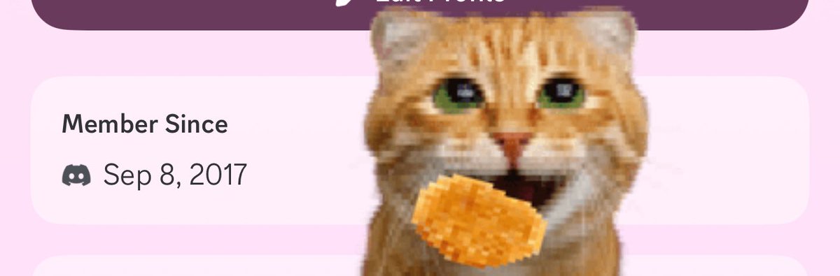 Anita 🏹 tweet media