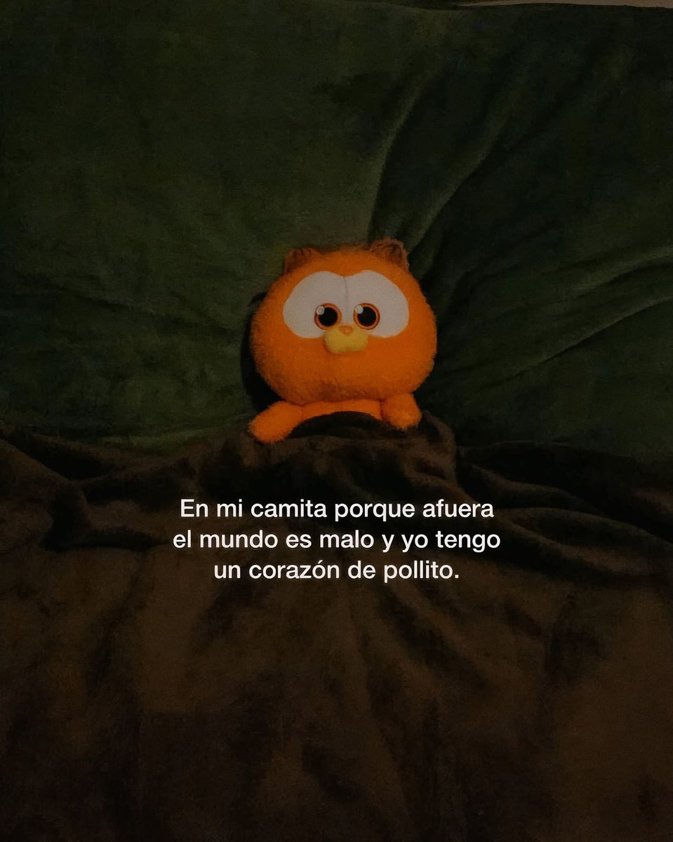 angelo_uf's tweet image. 