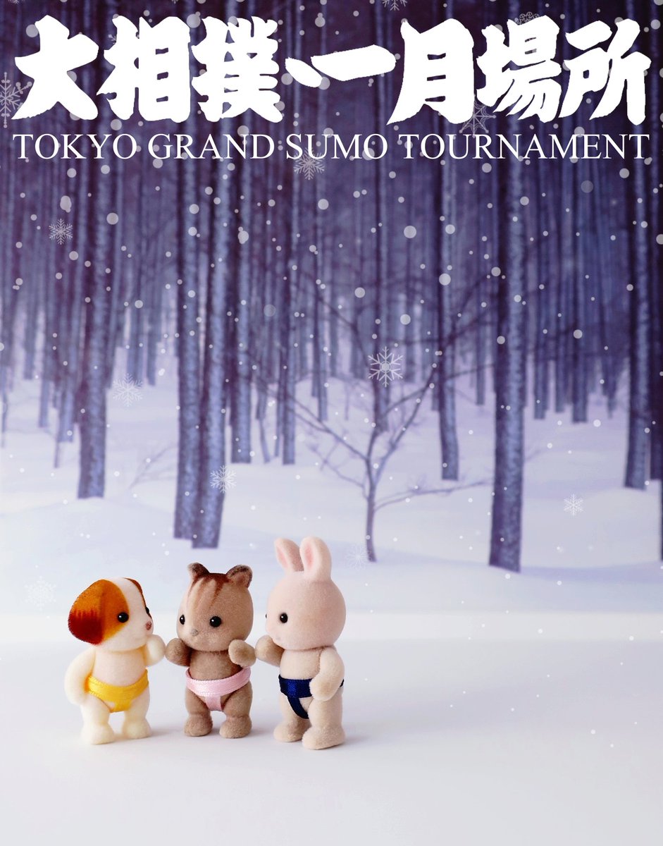 ぴぴぴ (@PppDgm) / Posts / X