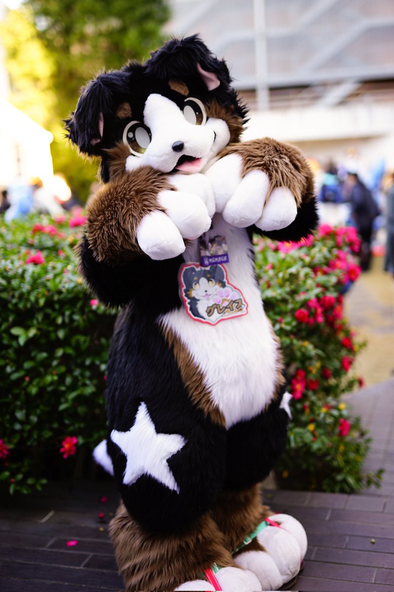 グレイスくん、手がでっかいの、いい…、 #JMoF2026