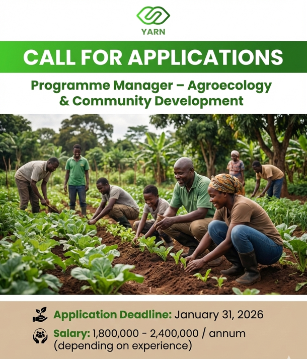 YouthinAgroNet's tweet photo. Are you a young Nigerian in Oyo State who is passionate about sustainable food systems? Do you have experience working with farmers and young people to strengthen their capacities in agroforestry and organic farming? If this is you, we invite you to apply. https://t.co/waWeVqaszc https://t.co/qqSsPuaAwc
