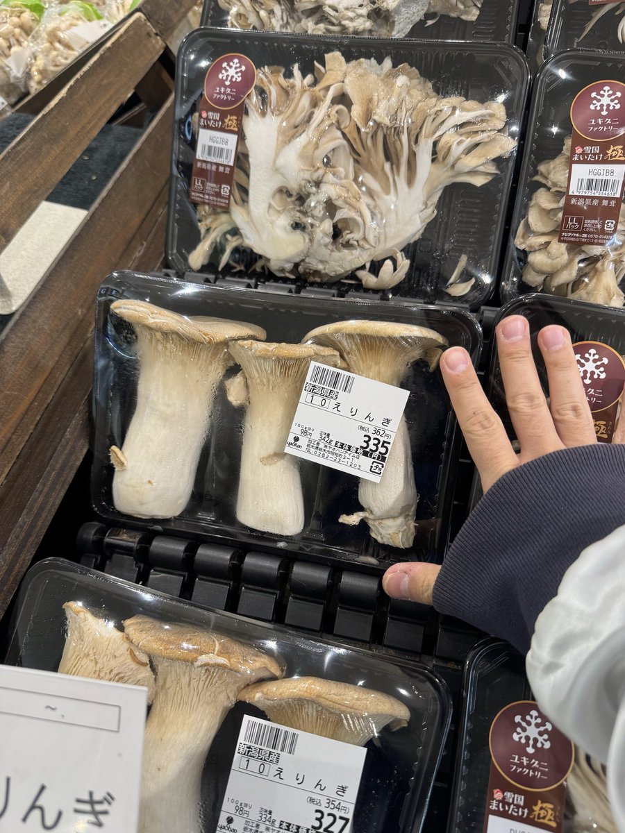 エリンギ(*´꒳`*) ② これを見た人は無言で写真フォルダの適当な画像貼れ 🛍️つい衝動買い