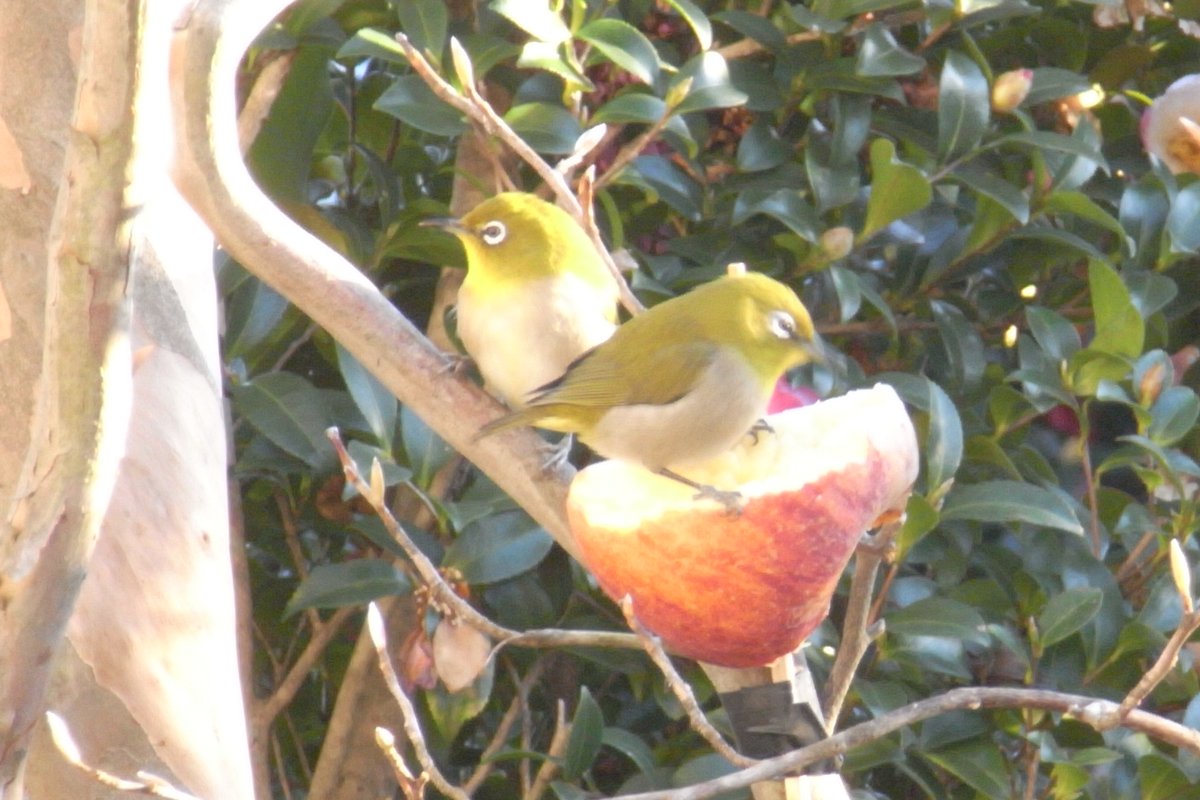 sora (@sora77049508) / Posts / X