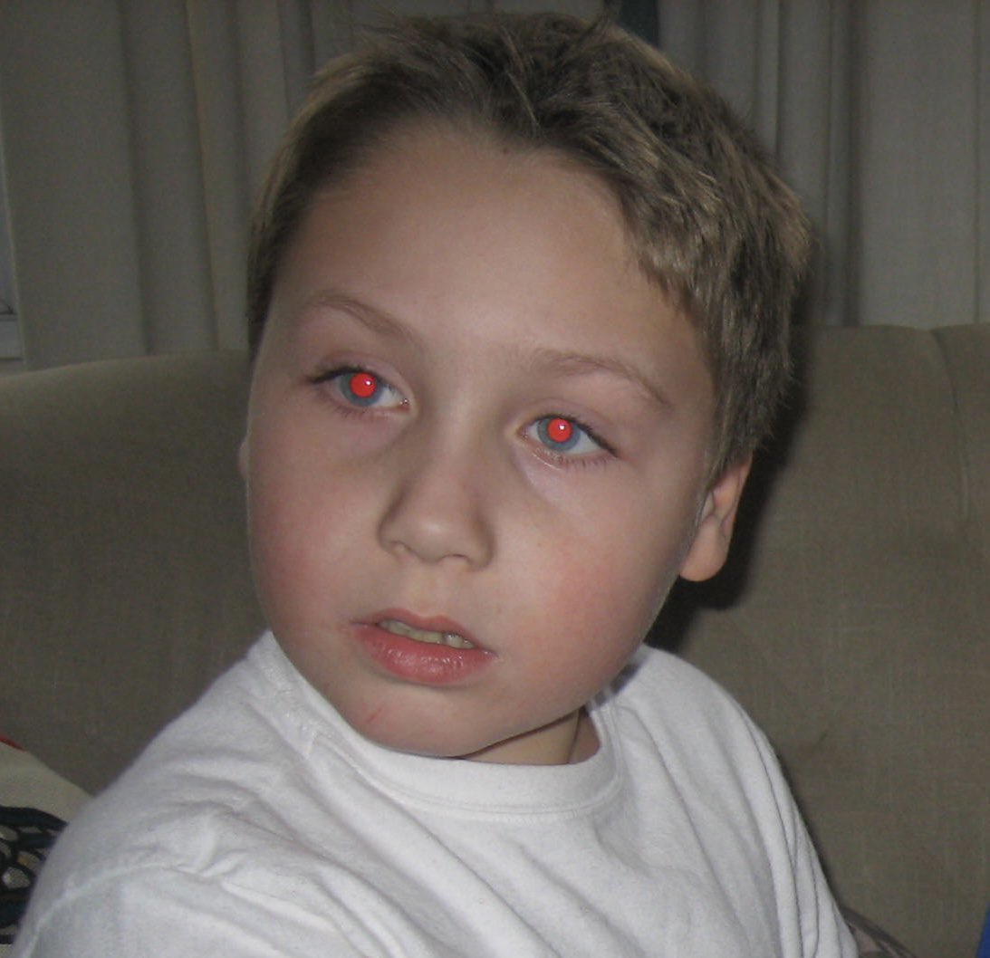 Barstool Ducks tweet media