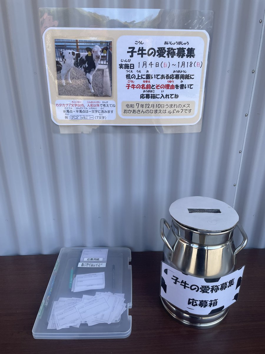 去年夏天种下的本地胡萝卜（八事五寸胡萝卜）今天终于收获了🥕

胡萝卜味道非常浓厚，又脆又甜。用橄榄油简单煎一下更好吃😋

而且比超市卖的大很多，其中最大的一个和萝卜差不多大。一根胡萝卜足够包一顿包子了。

偶遇去年12月出生的小奶牛征集名字，因为白色多，闺女给取了个“冰淇淋”🍦