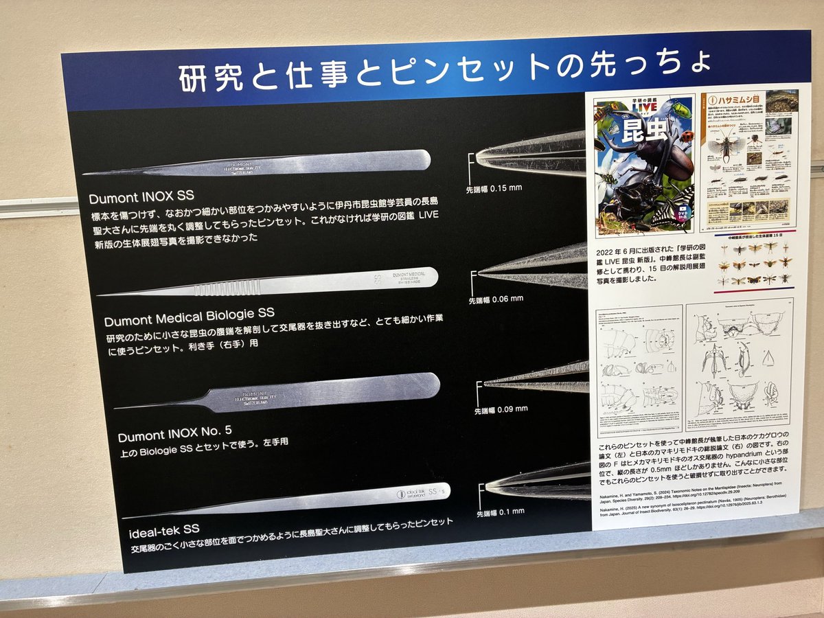 5364mst's tweet photo. 箕面公園昆虫館の企画展
「先っちょ展」、角や大顎の先端、尾端や頭部の先端部が特徴的な種類を取りあげて、標本や拡大画像で展示、なかなか面白い企画ですね、昆虫研究に不可欠なピンセットの先端も特に大事ですよ笑 https://t.co/RxtuEKwBxC